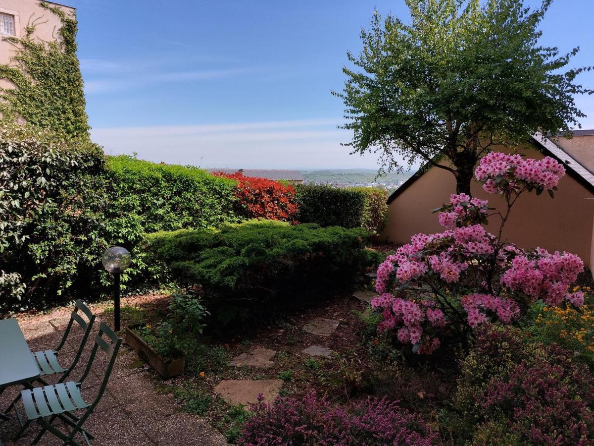 Le Denyspuech 55M2 Plein Centre Avec Jardin! Apartment Rodez Exterior photo